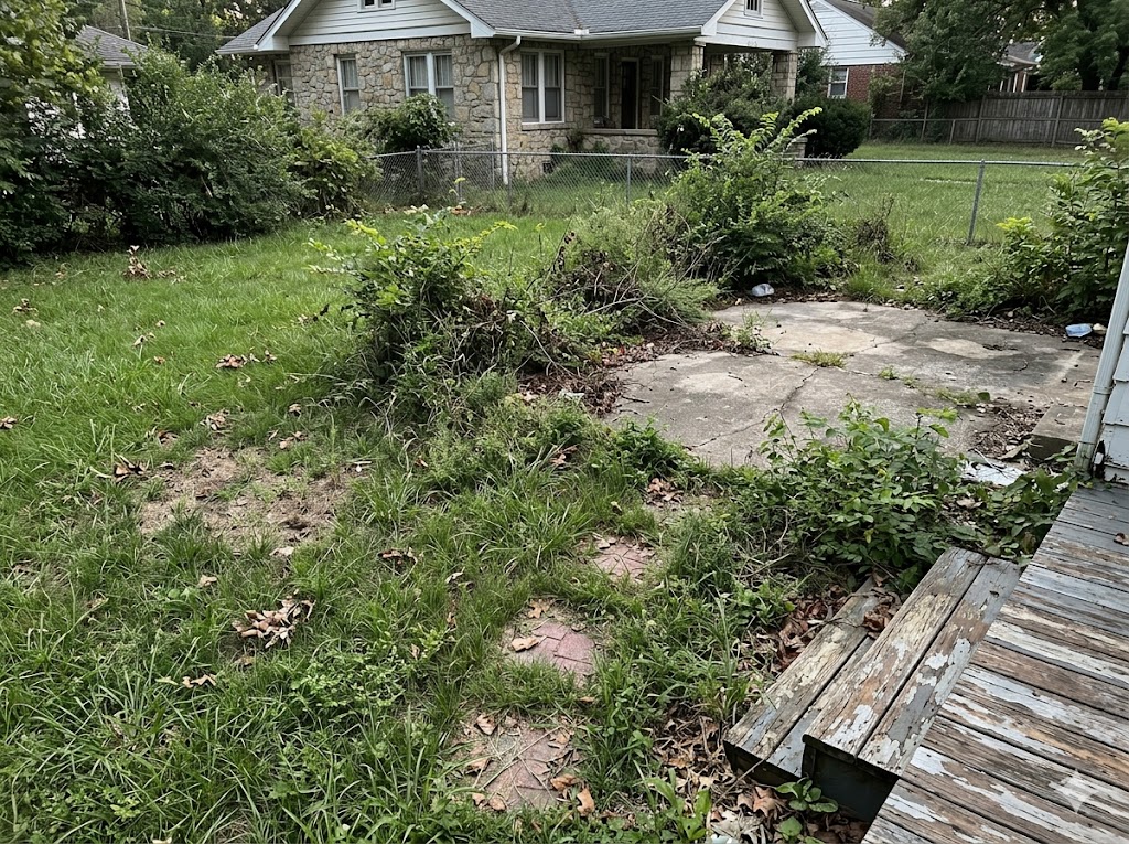 Before — overgrown neglected yard